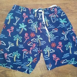 Chubbies Shorts